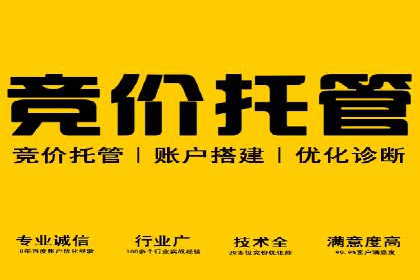 托管SEM竞价策略：行业领先企业的秘密武器
